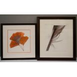 Two framed photographs; Ginko and Goose Feather.