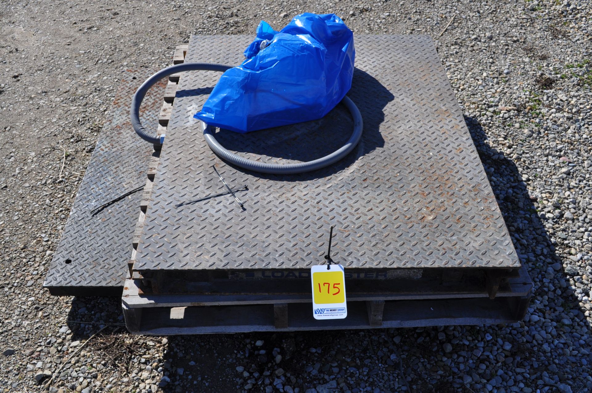platform scale with scale head