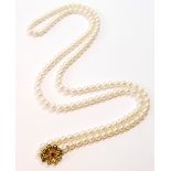 Opera length single row necklet of cultured pearls, on 9ct gold snap.