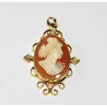 Shell cameo pendant in pearl-set scroll, 9ct gold mount.