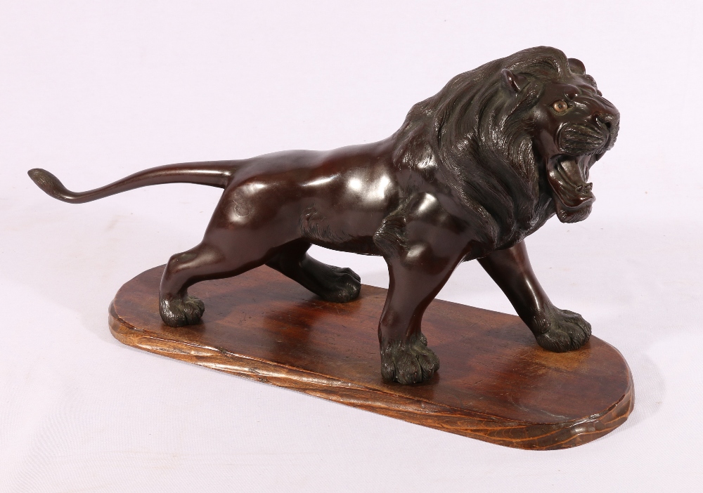 Japanese bronze model of a lion with inset glass eyes, wooden base, signed to base, 45cm.