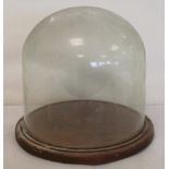 Victorian circular glass display dome on mahogany plinth base, total height approx. 28cm.