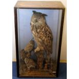 Large Victorian or Edwardian taxidermy display of an Eagle Owl & two Little Owls on lichen covered