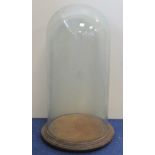 Victorian circular glass display dome on plinth base with three bun feet, total height approx. 45cm.