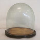 Victorian oval glass display dome on ebonised plinth base with four bun feet, total height approx.