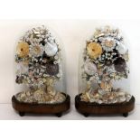 Pair of Victorian shell work floral displays contained in oval glass domes on wooden plinths base,