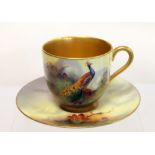 Royal Worcester coffee cup & saucer with hand painted decoration of a peacock in a fir tree,