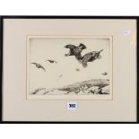 WINIFRED AUSTEN RI RE (1876-1964) Grouse in flight Etching, pencil, signed 18 x 26cm.