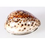 Cowrie shell snuff box the mount engraved with female figure and anchor,