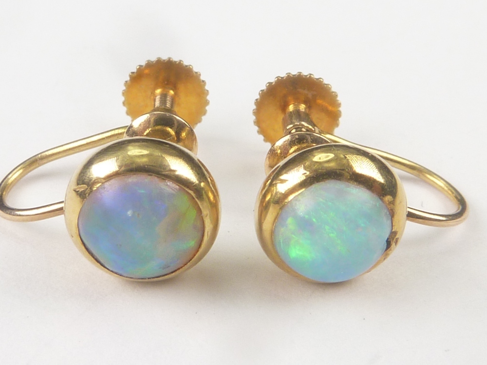 Pair of opal earrings of button shape, screw fittings in gold.