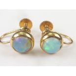 Pair of opal earrings of button shape, screw fittings in gold.