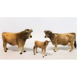 Three Beswick figures: Jersey Bull "Ch. Dunsley Coy Boy", no. 1422, 11.9cm high; Jersey Cow "Ch.