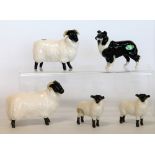 Five Beswick figures: Sheep Dog - Small, no. 1854, 7.6cm high; 2 x Black-Faced Sheep, no. 1765, 8.