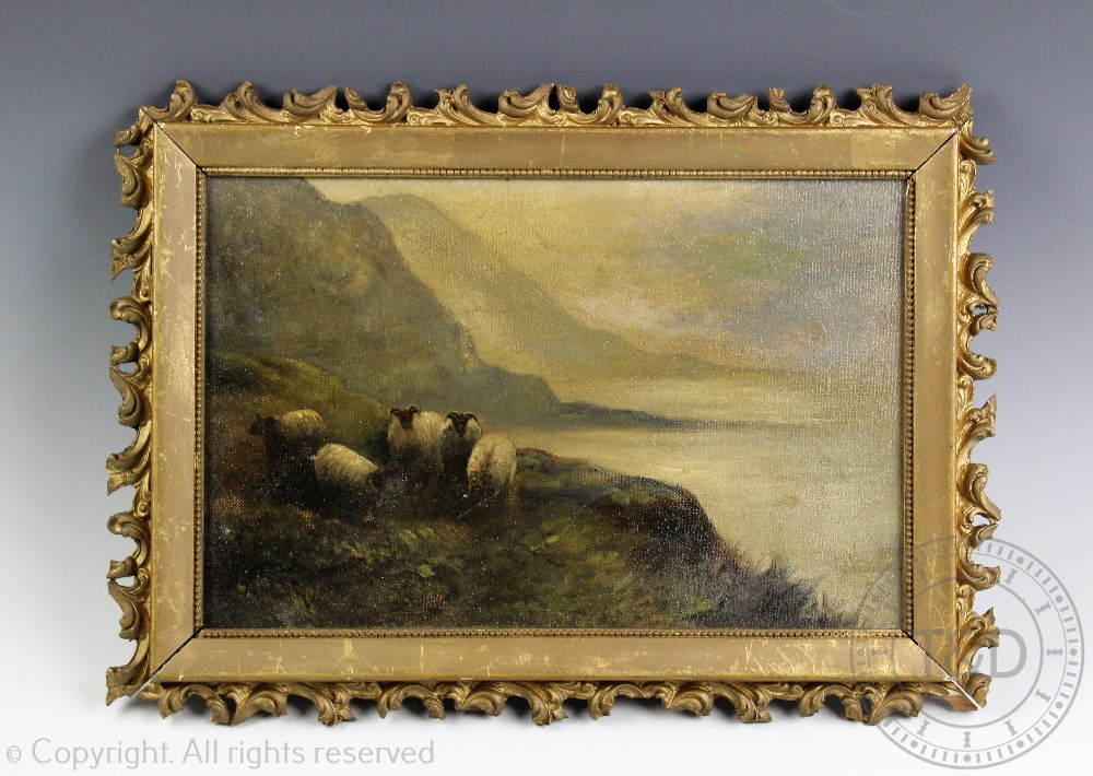 English School - late 19th century, Oil on canvas, Sheep along the shore line hills, 18.