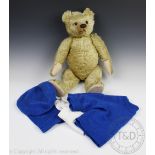An early 20th century golden plush teddy bear, with articulated limbs, head and hump back,