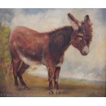 English School (19th century), Oil on canvas, Naive study of a donkey, Signed lower right 'J.A.