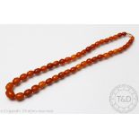 An amber bead necklace, the graduated strand of forty five beads with an attached silver gilt clasp,