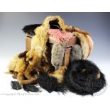 A tin trunk containing five assorted furs, collars and stoles along with ostrich feathers, trunk 29.