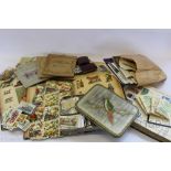 Two Victorian scrap albums, containing various flowers, animals, insects and portraits,