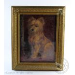 English School, early 20th century, Oil on canvas, Portrait of a terrier, possibly a Norfolk,