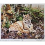 Jonathan Pointer, Two signed limited edition prints, 'A dozing lynx' and 'Reclining tigress',