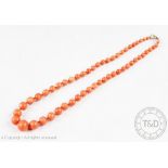 A graduated coral coloured bead necklace,