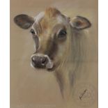 Jan Ibbotson (Contemporary), Pastel on paper, Jersey Cow, Signed lower right, 44cm x 36.