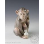 A Lladro 'Painful Monkey' figure, designed by Juan Huerte for the Painful Animals series,