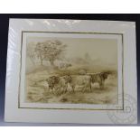 Lynne Broberg, Signed artist proof, Longhorn cattle, Signed in pencil, 35cm x 49cm, Mounted,