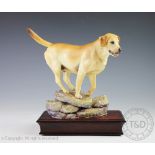 An Albany Fine China Co limited edition model of a Labrador, designed by Neil Campbell, No.