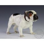 A Royal Doulton model of a Bull dog, No 1176, 14.