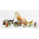 A collection of fourteen Beswick birds, to include; Barn owls (large and small sizes), Wren,