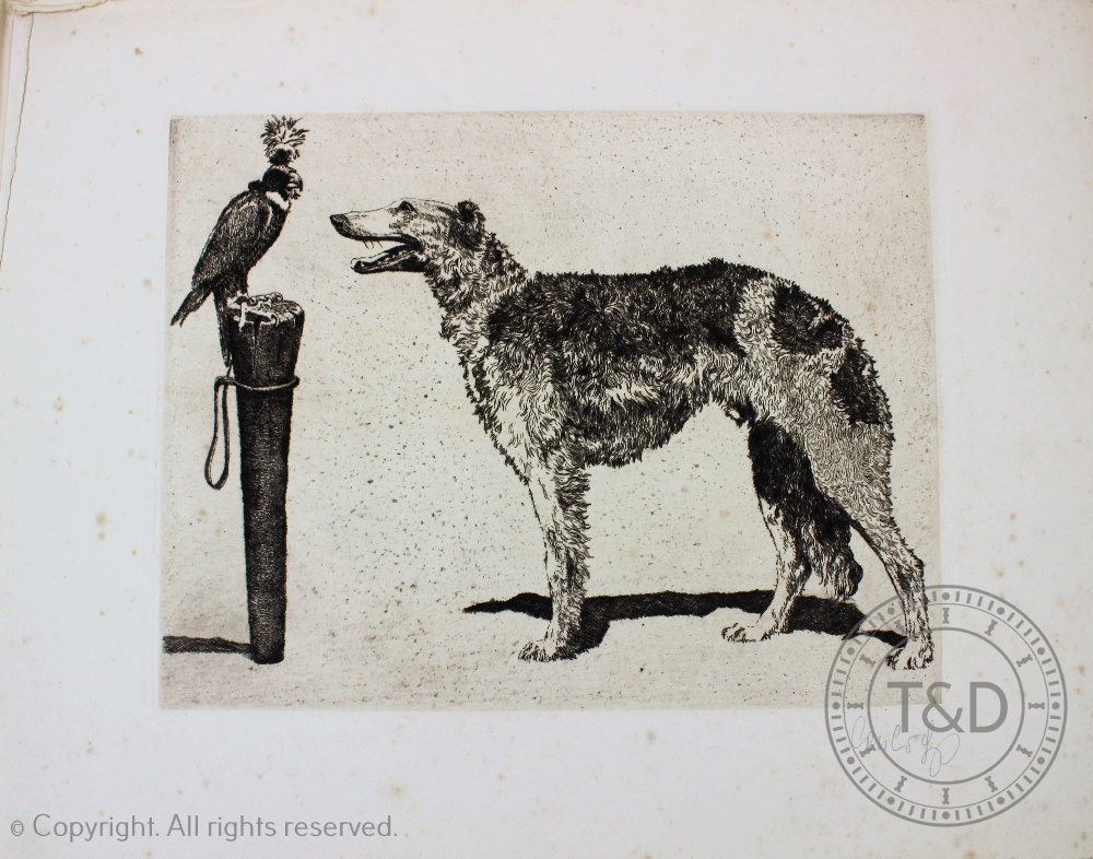 CASBERG (P), HUNDEPACK, ten etchings of various breeds of dog, each signed in pencil, 29cm x 37. - Image 3 of 5