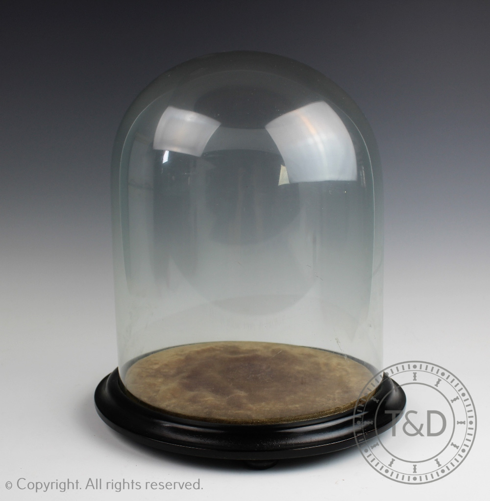 A Victorian glass dome upon circular ebonised base, containing later silk flower display,