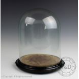 A Victorian glass dome upon circular ebonised base, containing later silk flower display,