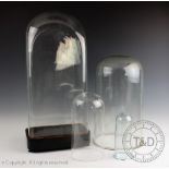 A collection of glass domes, to include a large example with base 64cm high,