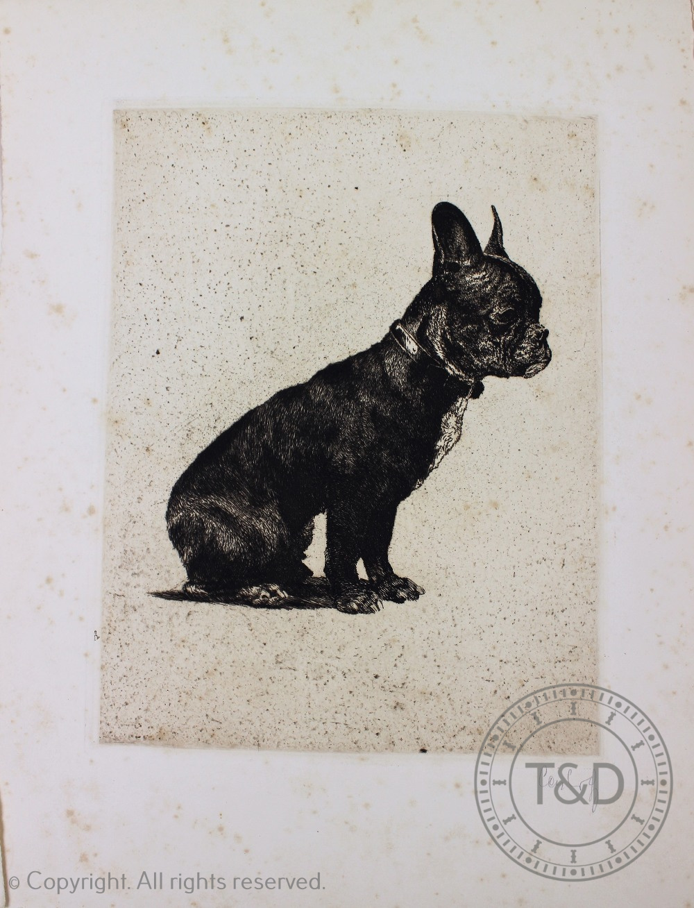 CASBERG (P), HUNDEPACK, ten etchings of various breeds of dog, each signed in pencil, 29cm x 37. - Image 5 of 5