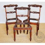Three George IV carved Gonzalo Alves dining chairs, attributed to Gillow of Lancaster,