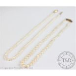 A single strand uniform cultured pearl necklace,