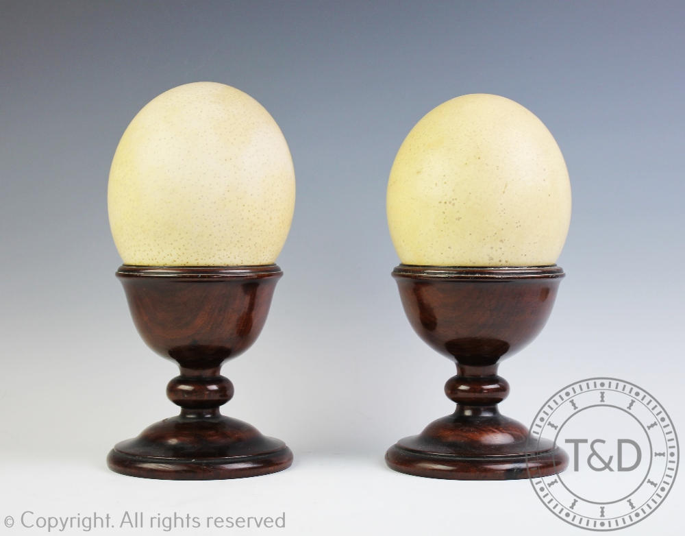 A pair of 19th century ostrich eggs on stands, each egg on a turned mahogany stand, 26.