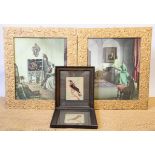 A pair of gilt leaf moulded picture frames, 68cm x 60cm, and a pair of bird pictures,