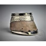 An Edwardian silver plate mounted horse hoof table snuff,