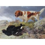 Richard Ansdell (1815-1885), Oil on board, Spaniel retrieving a black grouse,