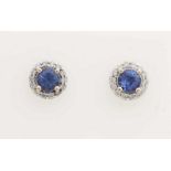 White gold earrings, 585/000, with sapphire and diamonds. Round ear studs in the middle set with a