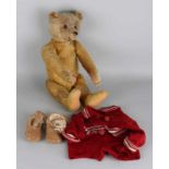 Antique German bear. Probably Steiff. Circa 1920 - 1930. Long arms and bulge on back. Felt broken at