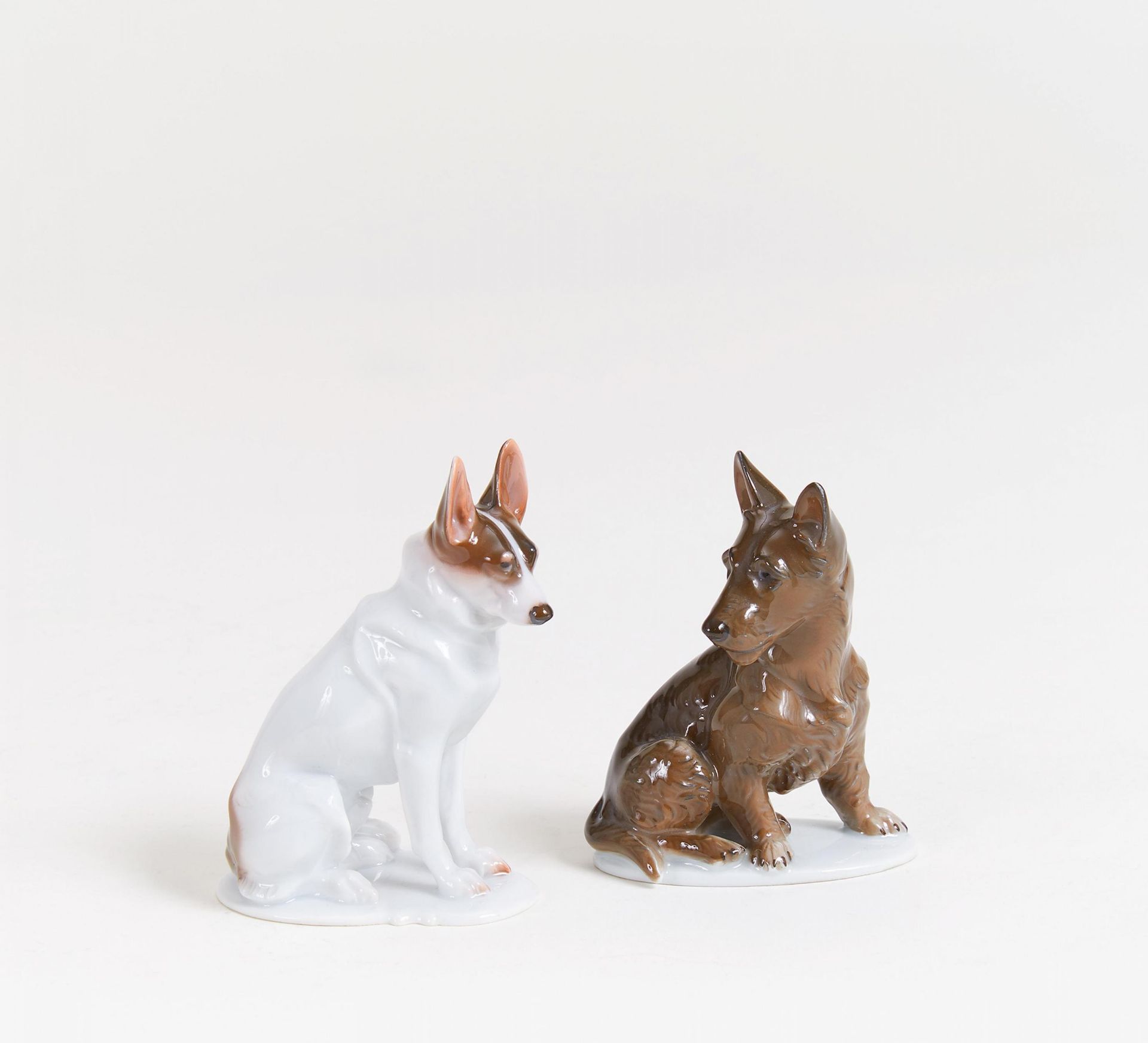 SCHÄFERHUND UND TERRIER. Rosenthal. Selb. Porzellan, farbig dekoriert. H.9cm bzw. 9,5cm.