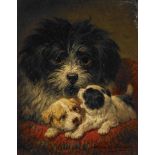 Ronner-Knip, Henriette 1821 Amsterdam - 1909 Brüssel Hundemutter mit zwei Welpen. Öl auf Holz. 25 x