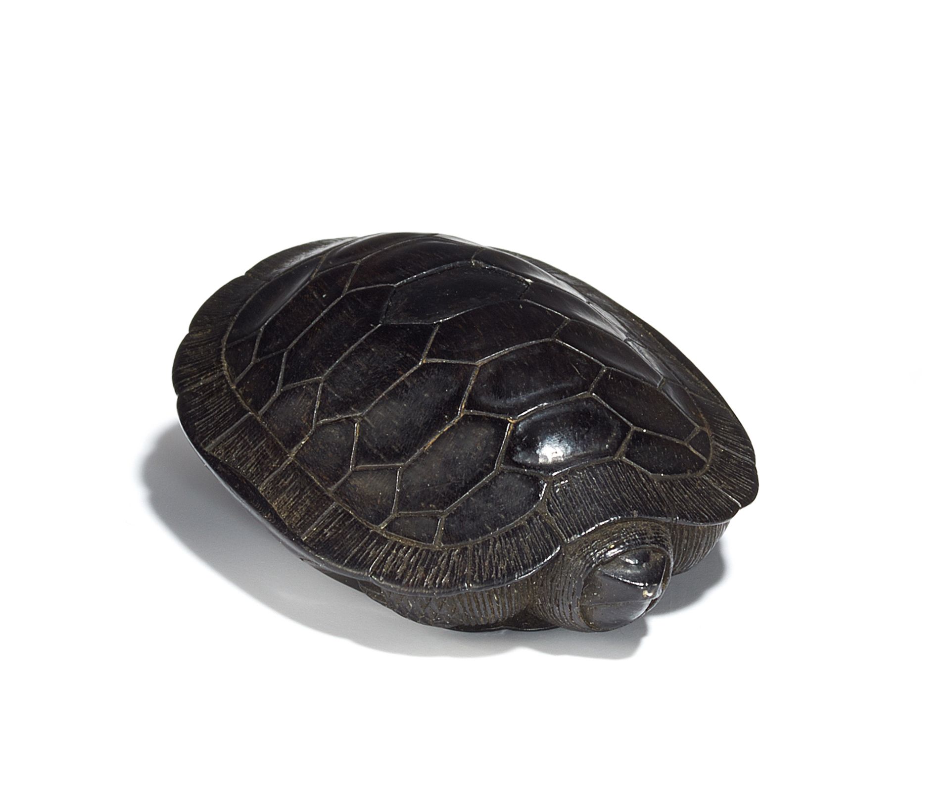 NETSUKE: SCHILDKRÖTE. Japan. 19. Jh.. Dunkles Hartholz, wohl Ebenholz. Das Tier hat sich fast