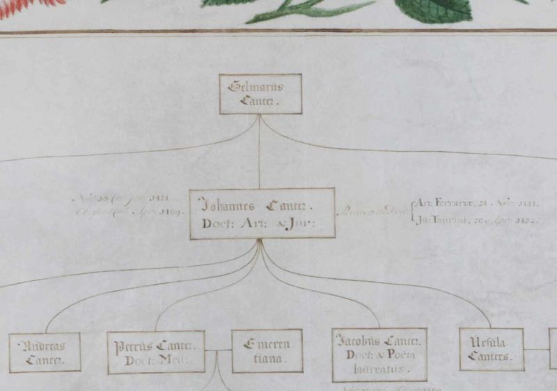 Hollandse School 17e eeuw A family tree framed by painted floral decoration. The Latin family tree - Image 2 of 2