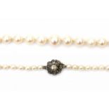 A cultivated pearl necklace with a 14 krt yellow gold lock. Set with rose cut diamonds. Lengte 51